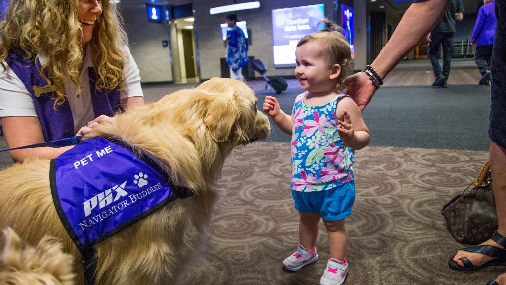 Pet Travels